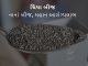 chiaseeds